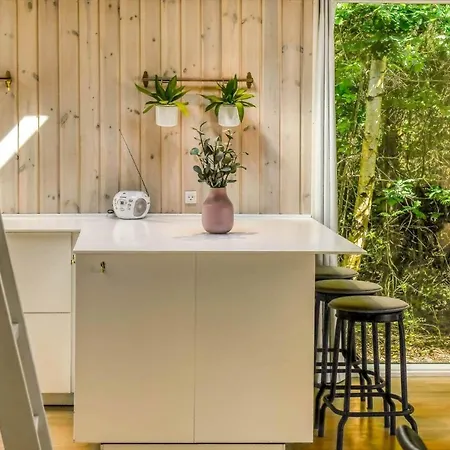 Bv238-blavand-lyngsletten-39 בית נופש