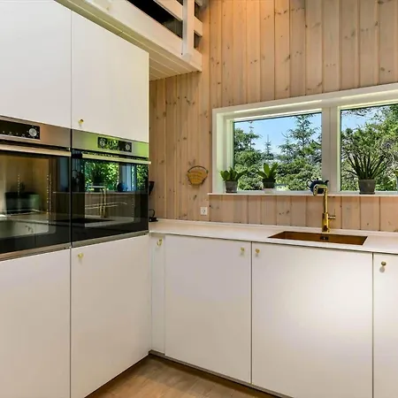 Dom wakacyjny Bv238-blavand-lyngsletten-39